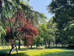 -西湖外事游船(湖滨二公园外事游船码头)