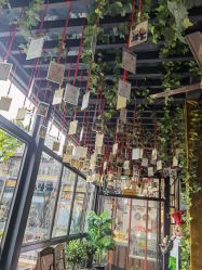 -保丽宝泰母婴护理院·月子中心·产康·中医(常州店)