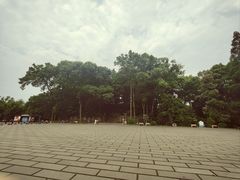 -峨眉山报国寺