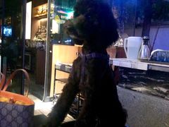 -STARRY CAFE & LOUNGE BAR(高新店)