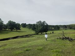 -克什克腾世界地质公园青山景区