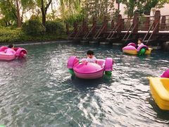 -上海崇明金茂凯悦酒店