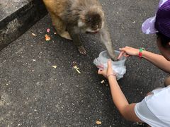 -黔灵山公园-南门售票处