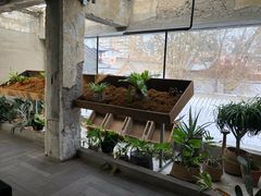 -三秋舍·梦幻岛(小西路店)