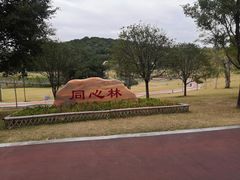 -牛岗山公园