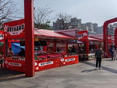 -坂田天虹