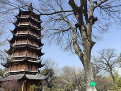 -红梅公园