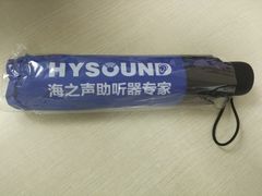 -海之声助听器(跃进南路赤坎店)