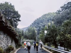 -东天目山风景区