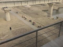 -沈阳站