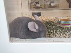 -龙猫仔乐园(惠福东路店)