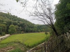 -常德桃花源景区