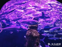 -厦门海底世界
