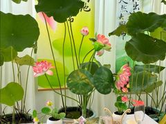 -观宴·品质赣菜(高新大道店)