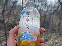 -紫金山山顶公园