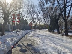 -北京世界公园
