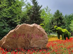 -长白岛森林公园