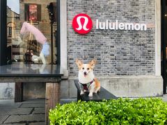 -lululemon(新天地店)
