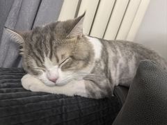 -美联众合动物医院·24h京西诊疗中心
