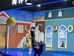 -重庆欢乐海底世界