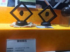 -志强陨石馆(双季花艺店)