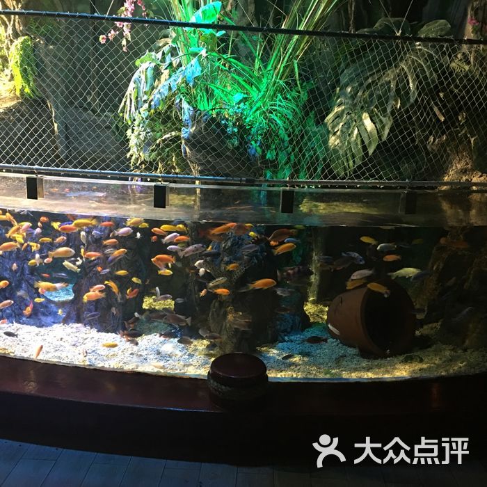 太平洋海底世界博览馆