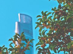 -东方明珠广播电视塔