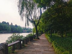 -运河游船(武林门码头)