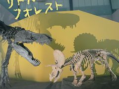 -湖南省地质博物馆