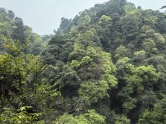-青城山