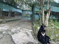-乐和乐都主题乐园