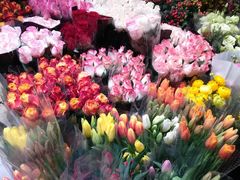 -双季花艺园艺市场(浦东店)