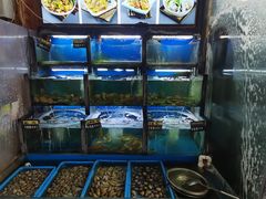 -老东镇啤酒屋海鲜加工·蒸汽海鲜·海鲜烧烤(台东店)