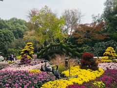 -无锡梅园公园