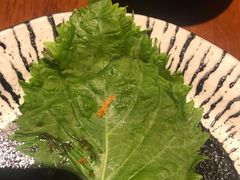 -山杏yama-katsu·吉列炸物
