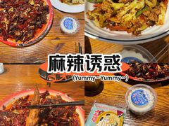 -柴窝堡22号辣子鸡·传承新疆菜