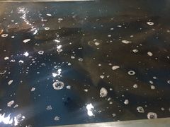-豪华脆肉鲩