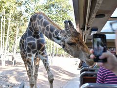 -清迈夜间动物园