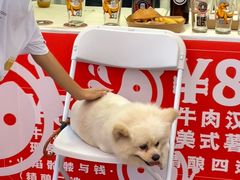 -VT101维多利广场