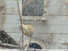 -昆明动物园