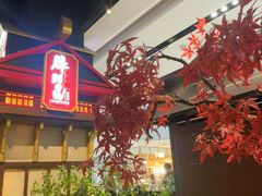 -牛New寿喜烧(闵行龙湖天街店)