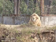 -石家庄市动物园