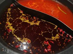 鸳鸯双格-井格重庆火锅(新世纪店)