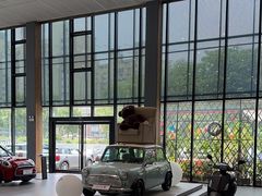-上海普陀宝诚MINI4S店(红柳路店)