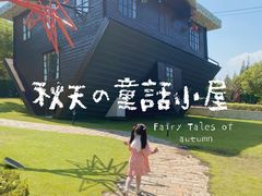 -金山农民画村-枫泾波兰倒置屋