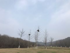 -羊山湖公园