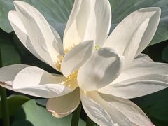 -南开大学(八里台校区)