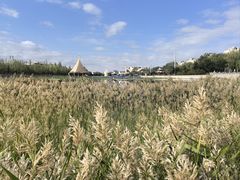 -党河风情线国家水利风景区