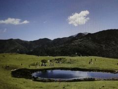 -三圣花乡旅游区