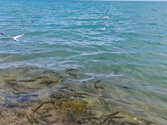 -青海湖二郎剑景区